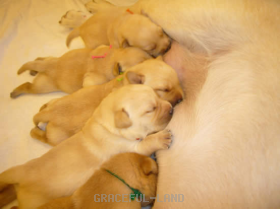 お母さんのおっぱい美味しい